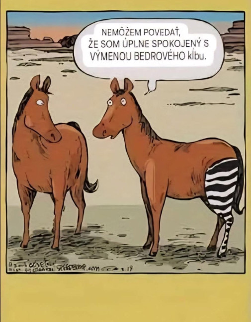 Bol na operácii v slovenskej nemocnici